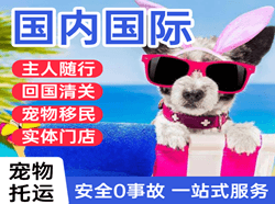 敦煌莫高空运公司国际宠物托运 【国